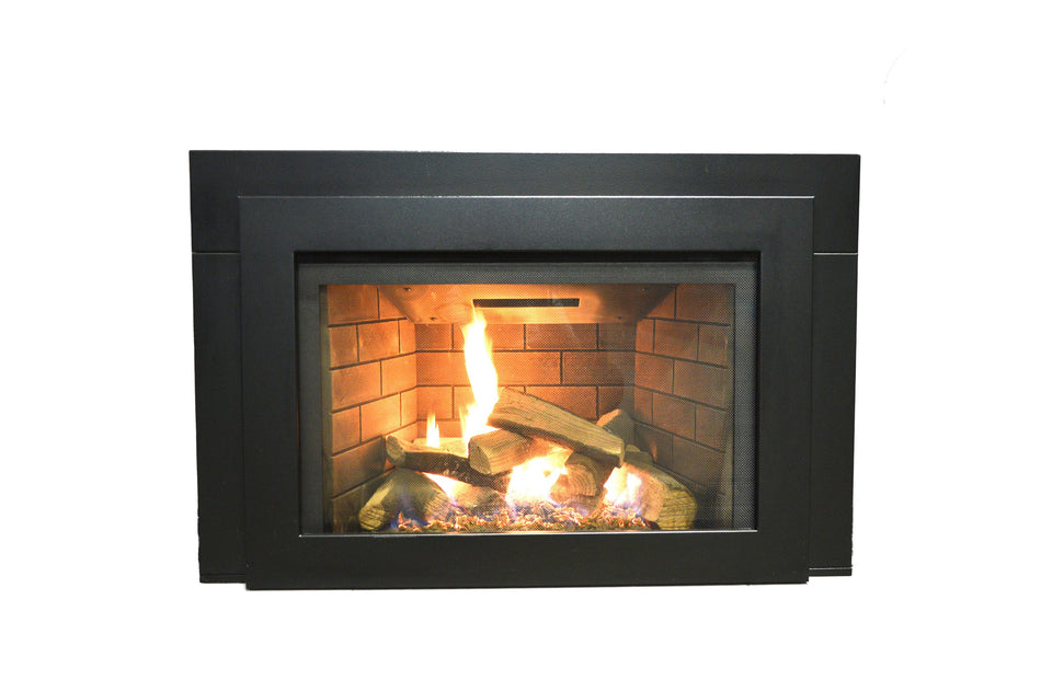 Sierra Flame Abbot 30 Direct Vent Gas Fireplace Insert